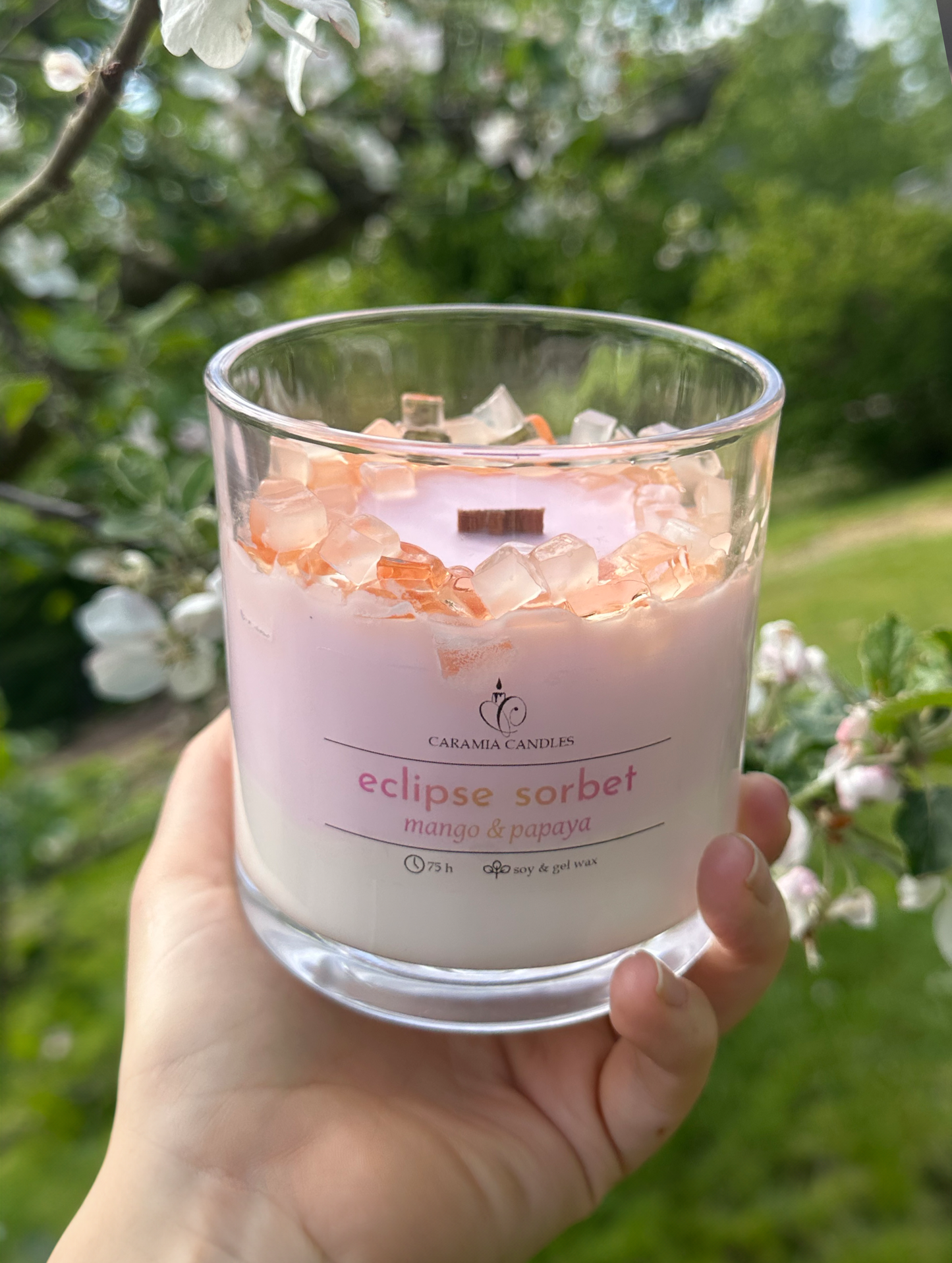 Eclipse Sorbet - mango & papaya